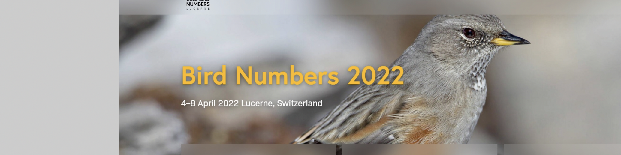 Bird Numbers 2022 Poster